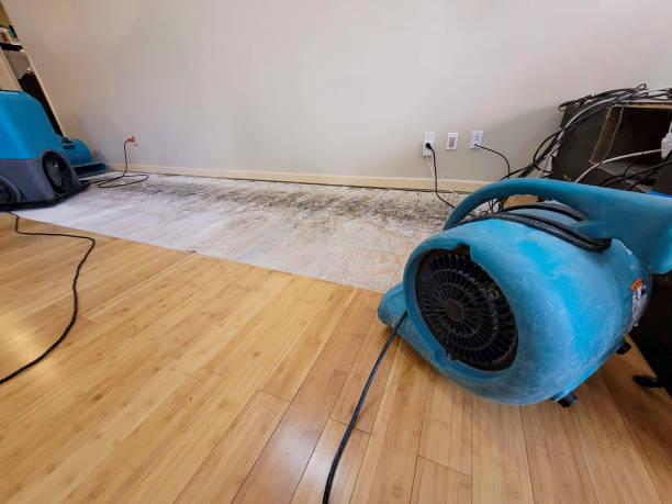 Reliable Basement Flood Cleanup contractor in La Cygne, KS by Hirex Water Damage
