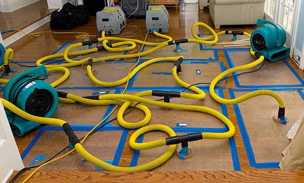 Professional Basement Flood Cleanup technician working in La Cygne, KS
