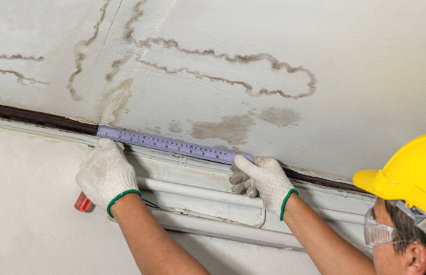Affordable Water Damage Repair solutions in La Cygne, KS